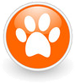 assurance chien chat
